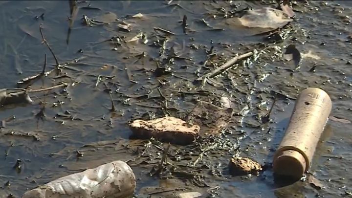 MPC/MG: prefeitura de BH processa Copasa por lançamento de esgoto na Lagoa da Pampulha